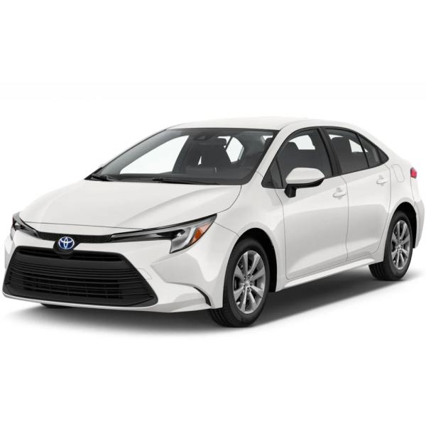 Toyota Corolla car rental