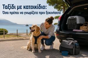 Traveling with Your Pet: Everything You Should Know Before You Hit the Road
